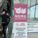 멍냥펫24양원역점 | 2025 부산펫쇼 관람 후기 (무료입장 방법)