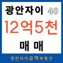 광안자이금맥부동산공인중개사사무소 | 광안자이 아파트 40평 매매 【 12억5000 】