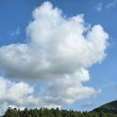 말무리목장 이미지