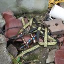 안씨농장 이미지