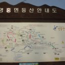 붉은노리