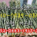 펀치볼가영이네