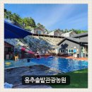 쉼마루펜션，관광농원 | 함양 펜션 추천ㅣ 용추솔밭관광농원 글램핑펜션캠핑장 수영장 있는 가족펜션 후기