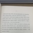 써니데이