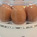 에그하우스 이미지