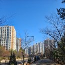 옥길로56번길2C | [부천/옥길] 파더스 베이글 부천 옥길점, 브런치와 베이글이 가득한 감성 카페