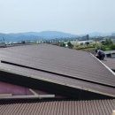 영인칼라 이미지