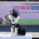 댕댕하개 이미지