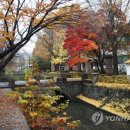 용산-330 이미지