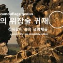 자연계의 위장술 귀재 Natural camouflage genius 이미지