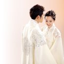 지지배배 이미지