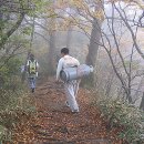 산장의 여인 오마이뉴스