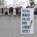 수문 이미지