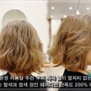 다인 | 파주 운정 미용실 열처리 없는 끊김 없는 탈색과 염색 장인 헤어다인 후기