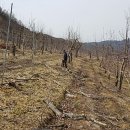 빛고운농원