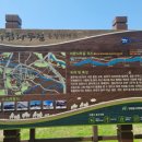 출렁다리 이팝나무길 이미지