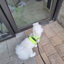 백두동물병원 이미지