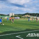 안동강변체육공원 축구장 스포츠동아