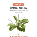다해랩