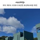 2023 트래블서치 후기[겨울프로젝트 제주안에서vo3:겨울방학]