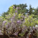 경포도립공원