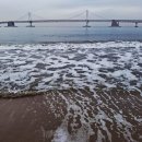 광안리 - 종로구 | 광안리