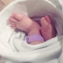 우주부라이프 네이버블로그