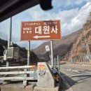 가평상용현대서비스 | 가평 대원사 템플스테이 :: 강아지들과 휴식하다 온 후기