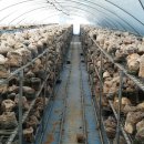 광은카센타 이미지