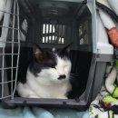 키움 동물병원 이미지