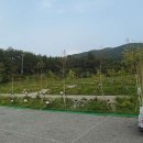 웰리힐리파크 오토캠핑장 이미지