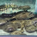 경용회식당 | 울진 후포 맛집 경용회식당 현지인 추천 아귀찜 포장 솔직 후기