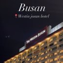 동백로 67 이미지