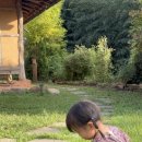 지리산 둥이네 이미지