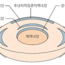 백내장원인과증상 이미지