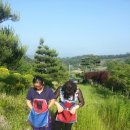 옐림농장 이미지