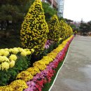 한마음회관 이미지