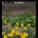 셀프헤어컷(주말) 이미지