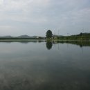 안면도권 꽝! 소류지로 위안삼다. 이미지