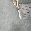 하르당주례역점