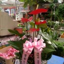 대호상회 이미지