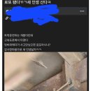 로또당첨된것보다 더한 운! 이미지