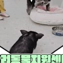 단장면 반려동물지원센터 이미지
