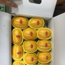 첫골농장 이미지