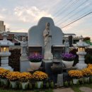 표선태권도장 이미지