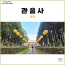 관음사의 왕벚나무자생지 | 제주도 여행 추천 한라산 관음사 주차장, 드라마 웰컴투삼달리 촬영지 ft.제주 왕벚나무자생지