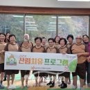 치유의 숲 이미지