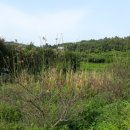 율촌농장 이미지