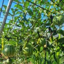 현곡농장 이미지