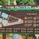 사파동155 이미지